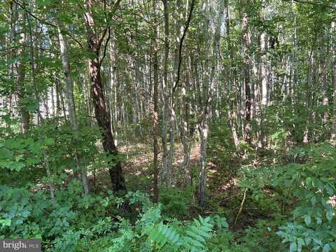 OVERTON DR, BUMPASS, VA 23024