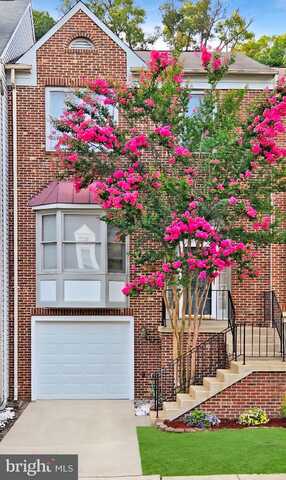 8110 SQUIRREL RUN ROAD, SPRINGFIELD, VA 22152