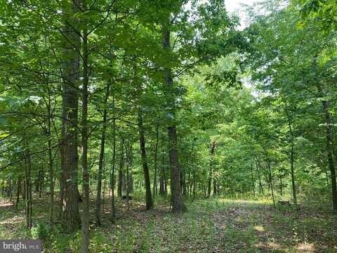 21A COOL HOLLOW ROAD, GREENCASTLE, PA 17225