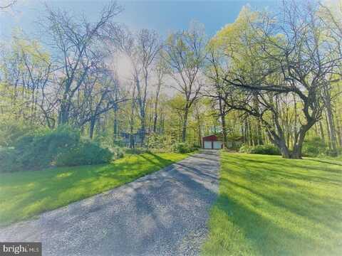 839 LONELY COTTAGE ROAD, UPPER BLACK EDDY, PA 18972