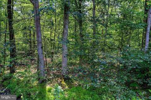 206 CHERRY VALLEY ROAD, PRINCETON, NJ 08540