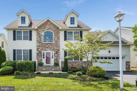 12 HIGGINS COURT, FLEMINGTON, NJ 08822