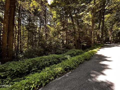 Tbd Viking Mountain Road, Greeneville, TN 37743