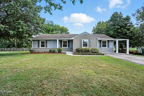 803 Mullins Street, Johnson City, TN 37604