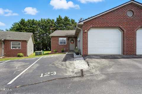 123 Mesa Drive, Gray, TN 37615