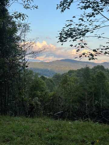 Laurel Highlands Road lot: 6, Roan Mountain, TN 37687