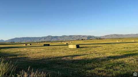 17 HUCKLEBERRY, Montpelier, ID 83254