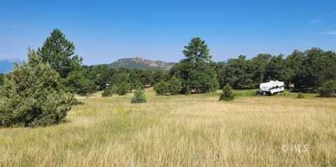 616 Blazing Saddle Trail, Cotopaxi, CO 81223