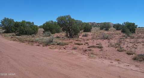 Tbd Ranch of the White Mountains10, Concho, AZ 85924