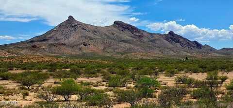 38.76 Acre N Bruno Road, Douglas, AZ 85607