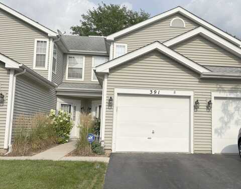 391 Maidstone Court, Schaumburg, IL 60194