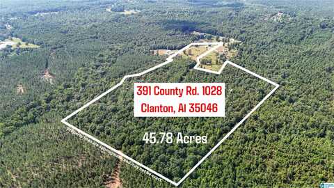 391 COUNTY ROAD 1028, CLANTON, AL 35046