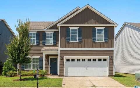 22947 DOWNING PARK CIRCLE, Mc Calla, AL 35111