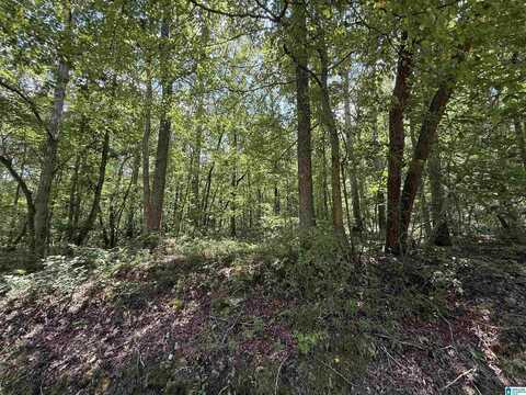 0 COUNTY ROAD 58, WEDOWEE, AL 36278