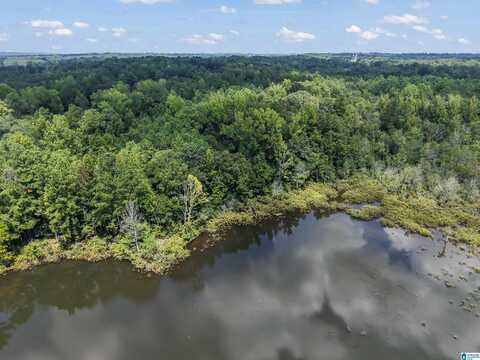 4826 N US HIGHWAY 31, DEATSVILLE, AL 36022