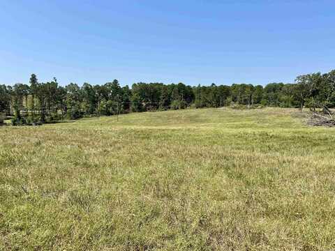 0 Cold Creek Lane, Cave City, AR 72521