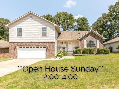 14 Farrah St, Ward, AR 72176