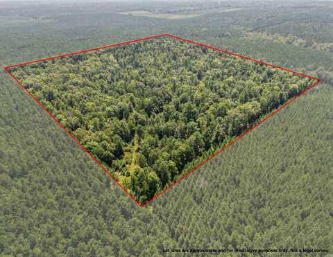 TBD 9808 Forestry Rd, Sheridan, AR 72150