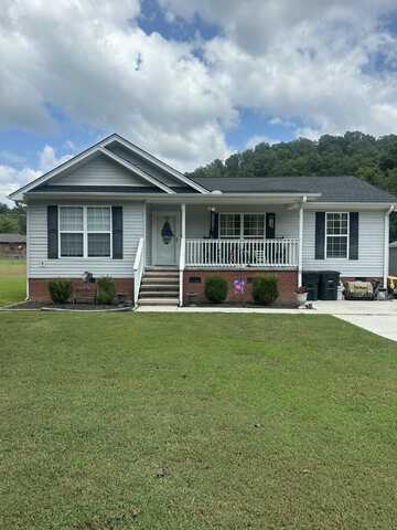 233 Georgia Lane, Jasper, TN 37347