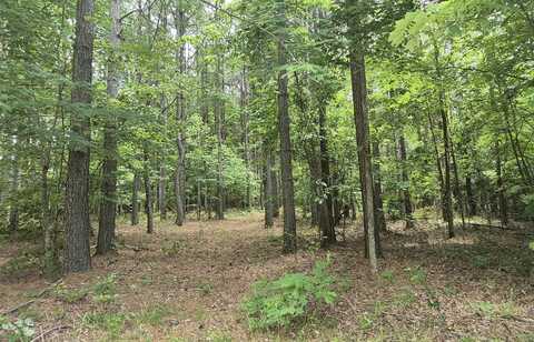 0 Raulston Falls Road, Jasper, TN 37347