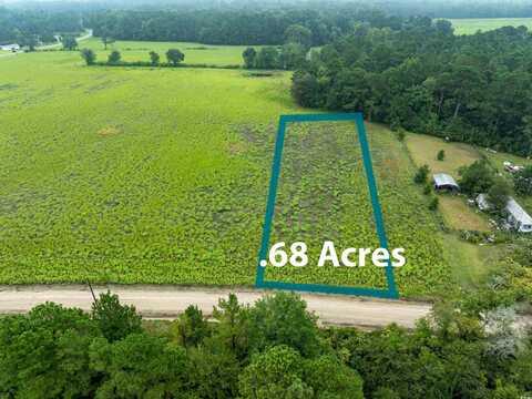 TBD LOT 1 Tansy Rd., Loris, SC 29569