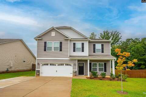 419 Saylor Hall Lane, Chapin, SC 29036