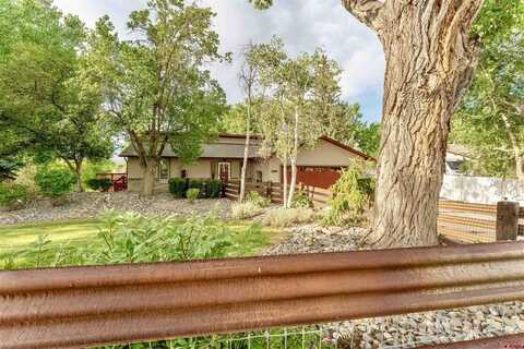 1100 Hartig Drive, Delta, CO 81416
