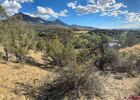 Lot 5 Ragged Mountain Drive, Paonia, CO 81428