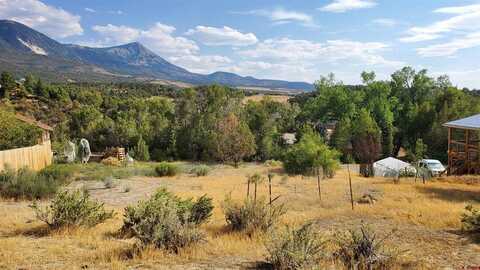 TBD Ragged Mountain Drive, Paonia, CO 81428