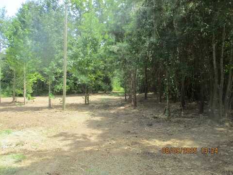 5220 CR 8, Pansey, AL 36370