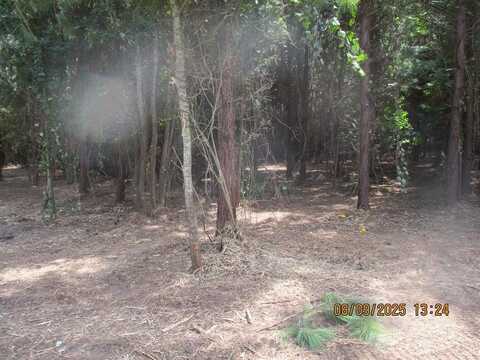 5218 CR 8, Pansey, AL 36370