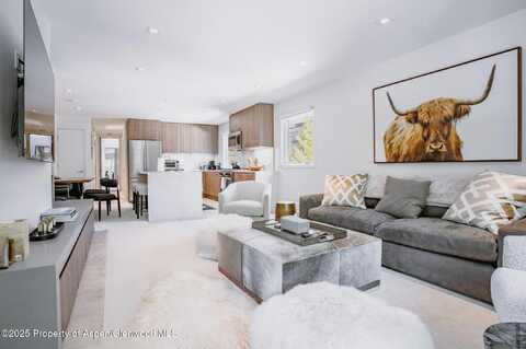 210 E Cooper Avenue 3G, Aspen, CO 81611