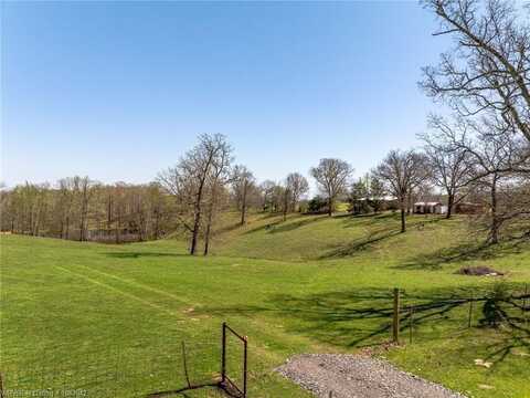 TBD Carney LN, Rudy, AR 72952
