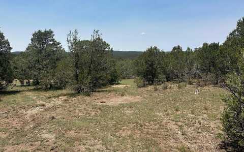 of Hwy 217, Tijeras, NM 87059