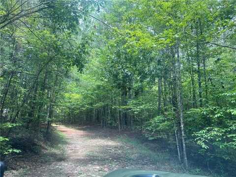 00 Tanner Hall Road, Dawsonville, GA 30534