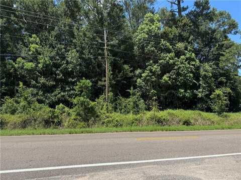 0 Saeger Road, Grand Bay, AL 36541
