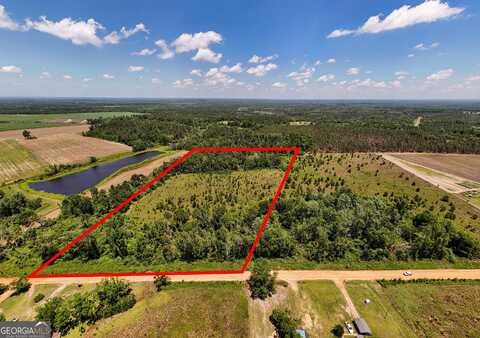 12.37 Acres- Lo Perry Horton, Adrian, GA 31002