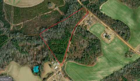 10.86 Acres- Lo Herman Dollar, Adrian, GA 31002