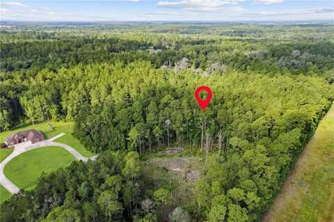 0 Serenity Farms Road, Woodbine, GA 31569
