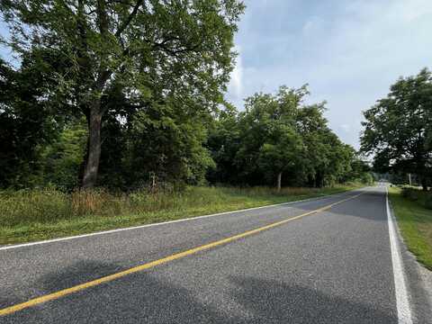 0 N Whites Bridge Road, Belding, MI 48809