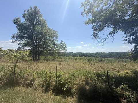 1539 Cypress Road, Rogersville, MO 65742