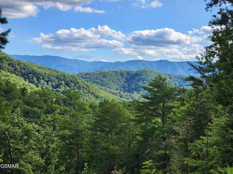 1968 E Millers Cove Rd, Walland, TN 37886