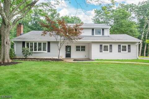 21 Manchester Dr, Hanover Twp., NJ 07981