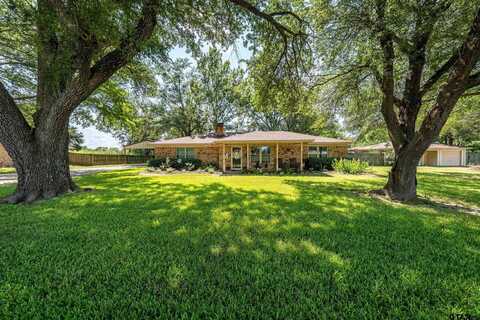 229 Chestnut Drive, Van, TX 75790