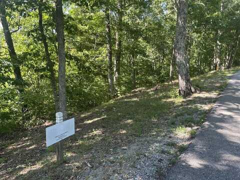Lot 20 Wildwood Rdg, Caldwell, WV 24925