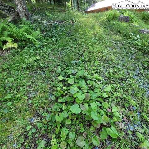 106 Woodridge Road, Beech Mountain, NC 28604