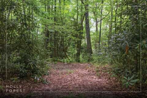 Lot 82 Black Oak Drive, Sapphire, NC 28774