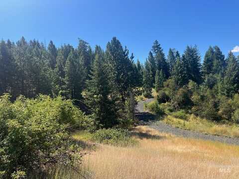 993 Norton Knob Ln, Orofino, ID 83544