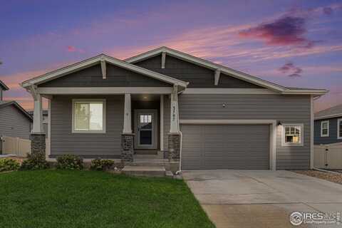 3787 Buckthorn St, Wellington, CO 80549