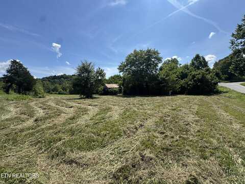 Leadvale Church Rd, White Pine, TN 37890